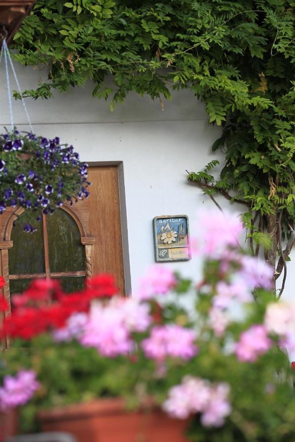 Agriturismo Maso Santa Libera Tesero Eksteriør billede