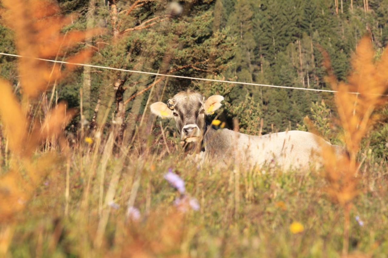 Agriturismo Maso Santa Libera Tesero Eksteriør billede