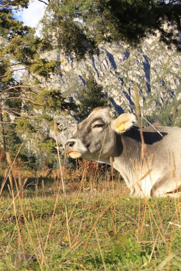 Agriturismo Maso Santa Libera Tesero Eksteriør billede